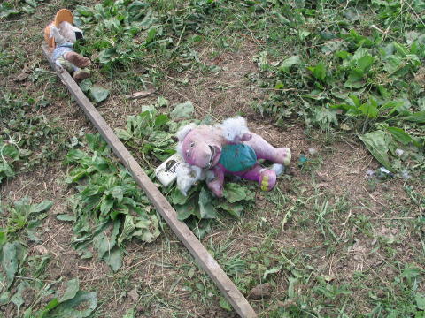 2005 Jun 0051