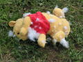 2005 Jun 0052