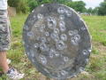 2005 Jun 0054