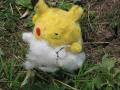 2005 Jun Pincachu